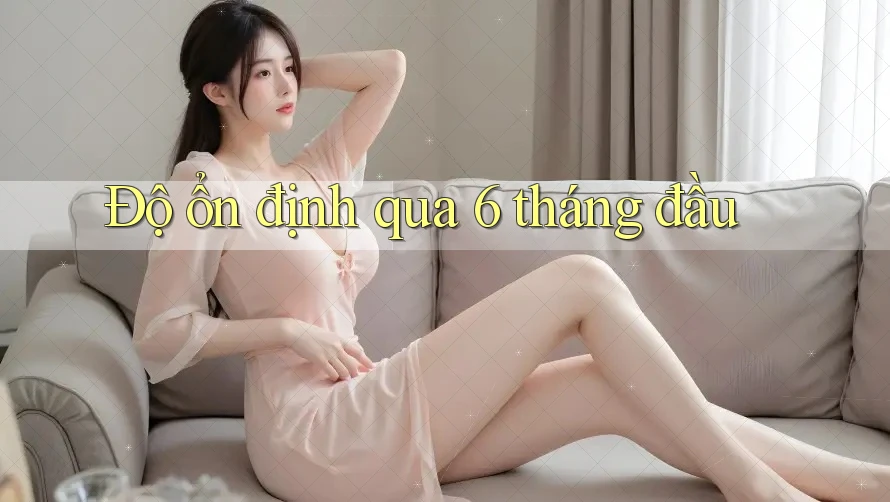 Độ ổn định qua 6 tháng đầu Độ ổn định qua 6 tháng đầu