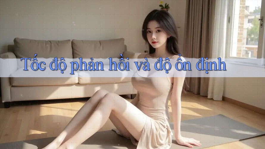 Tốc độ phản hồi và độ ổn định Tốc độ phản hồi và độ ổn định
