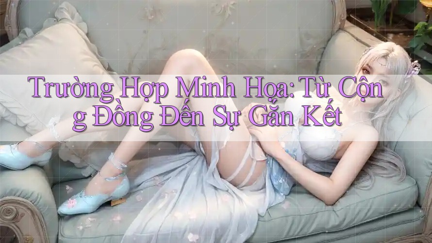 Trường Hợp Minh Họa: Từ Cộng Đồng Đến Sự Gắn Kết Trường Hợp Minh Họa: Từ Cộng Đồng Đến Sự Gắn Kết